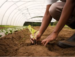 agricultural